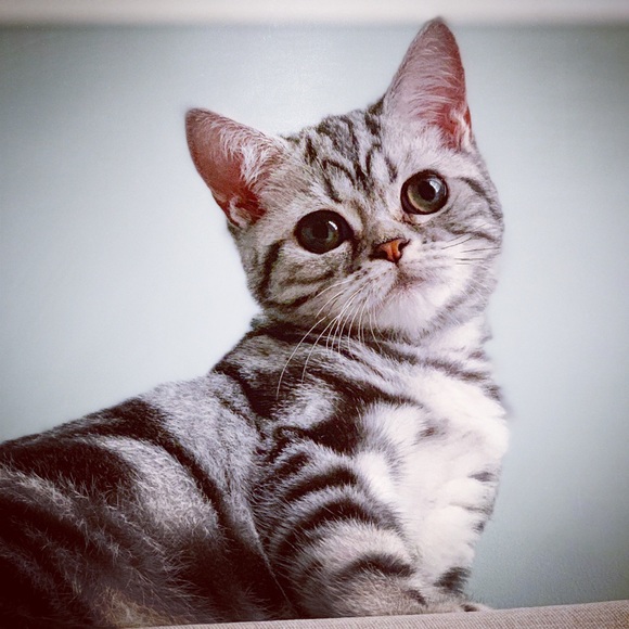 BUY MY TRASH! - Picture 7 of 16